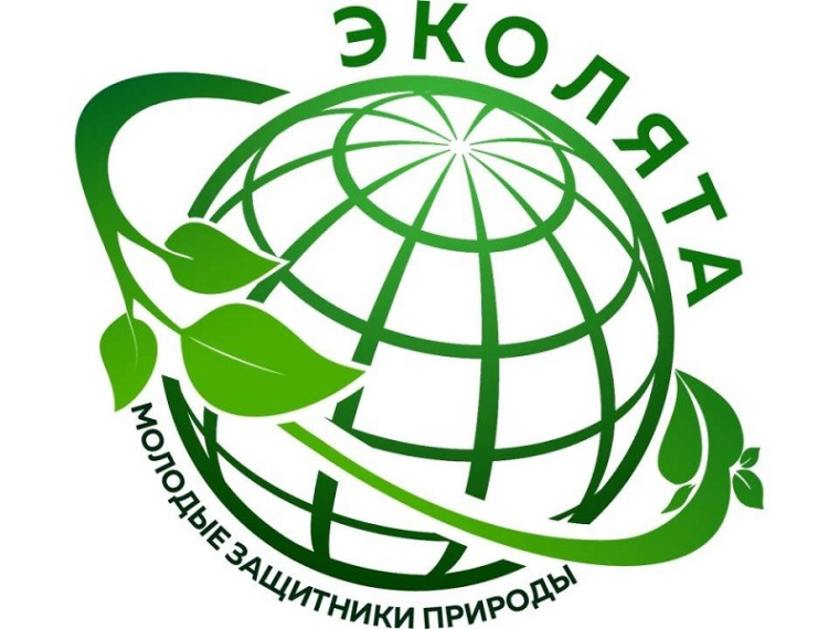Всероссийский урок «Эколята – молодые защитники природы» 2024г..